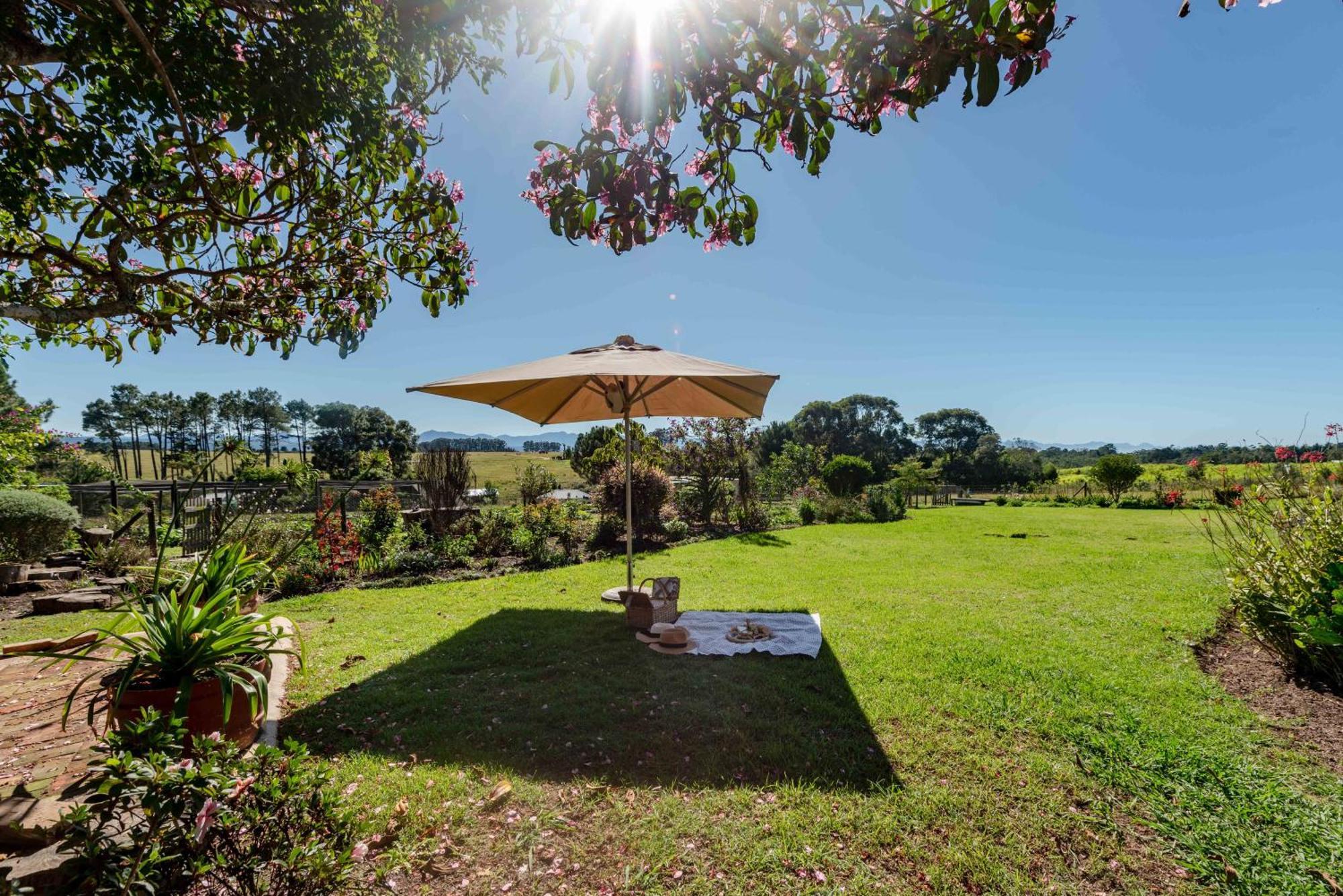 Elephant View Homestead Plettenbergbaai Buitenkant foto
